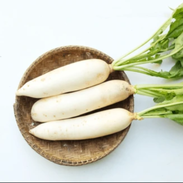 Daikon Radish Seeds